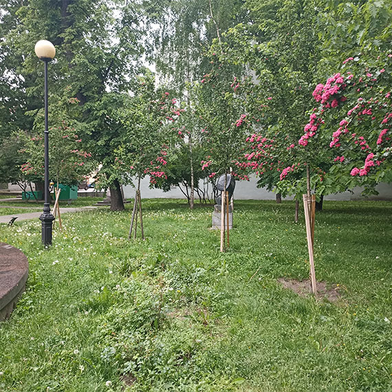 Сквер Андрея Петрова